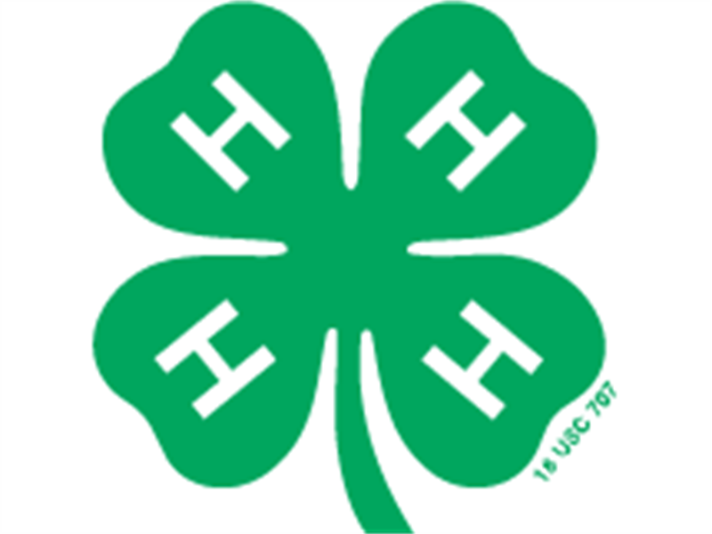 Fair Logo