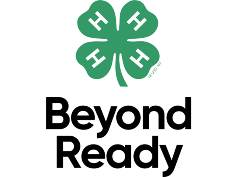 Fair Logo